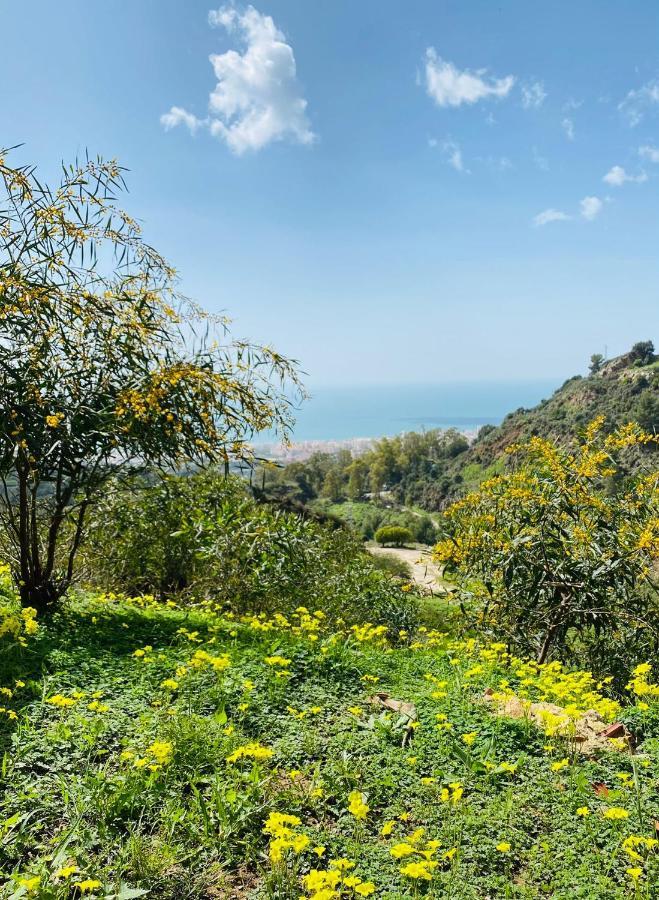 مبيت وإفطار ماربيا Casa Capricornio المظهر الخارجي الصورة