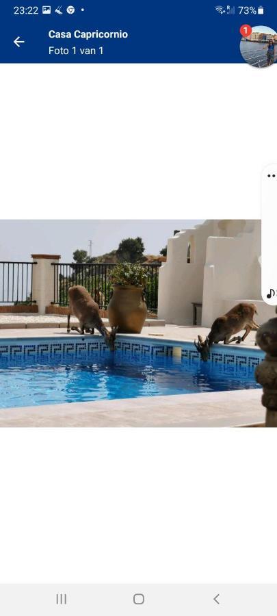 مبيت وإفطار ماربيا Casa Capricornio المظهر الخارجي الصورة